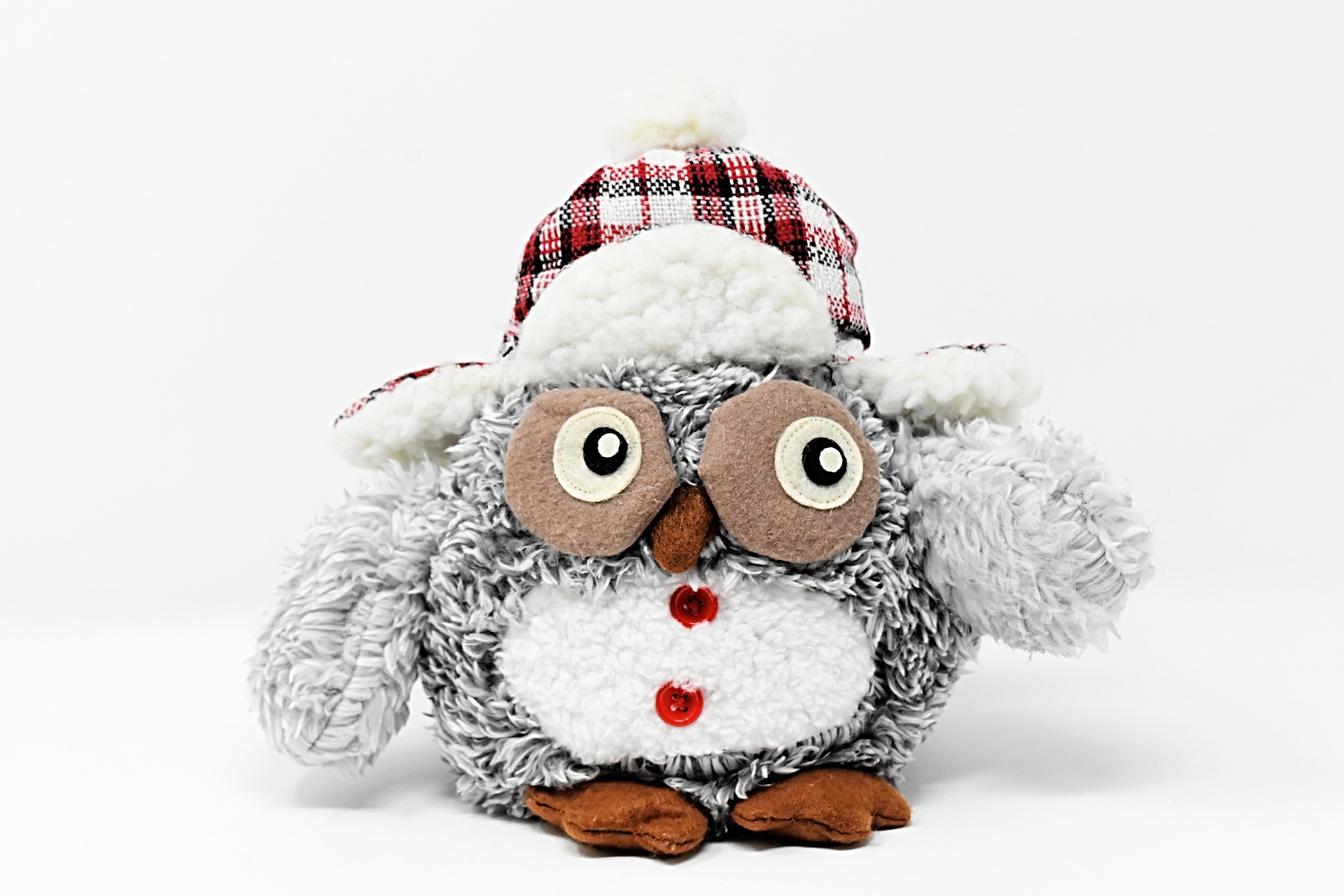 owl-3852209_1920